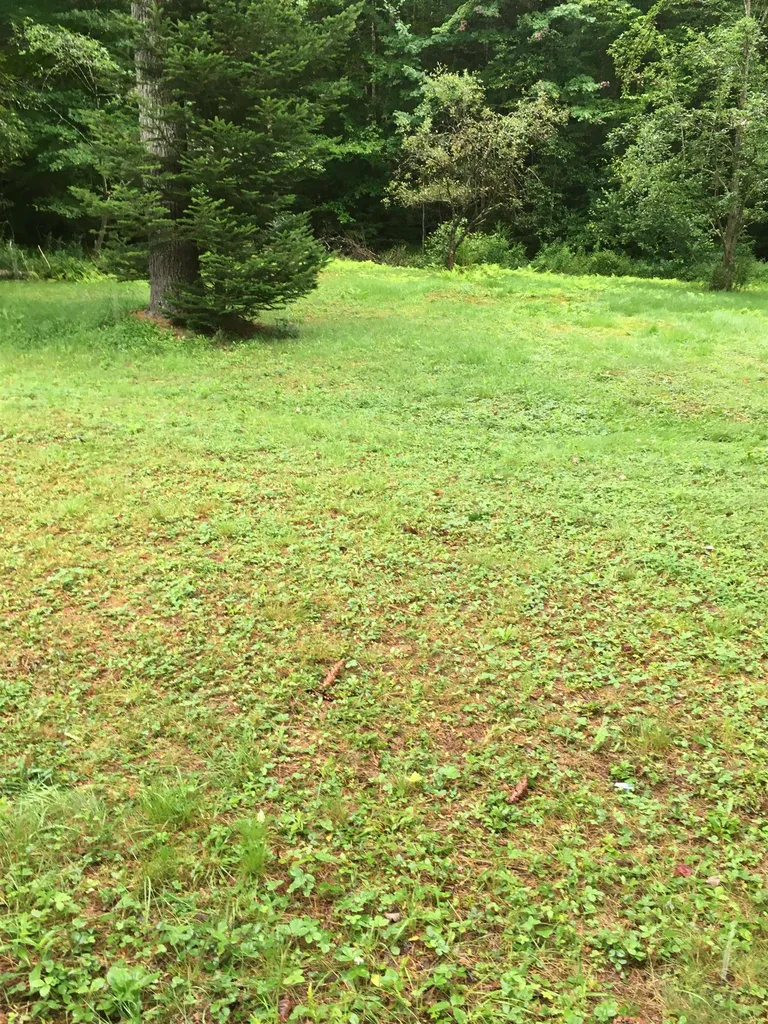 46 Brookside Lane Danbury NH 03230