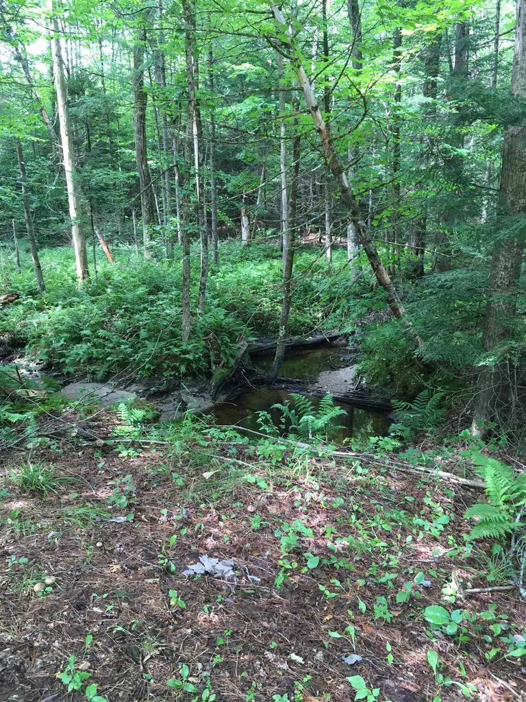 46 Brookside Lane Danbury NH 03230