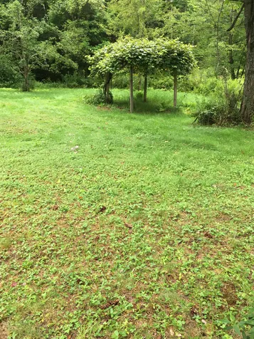 46 Brookside Lane Danbury NH 03230