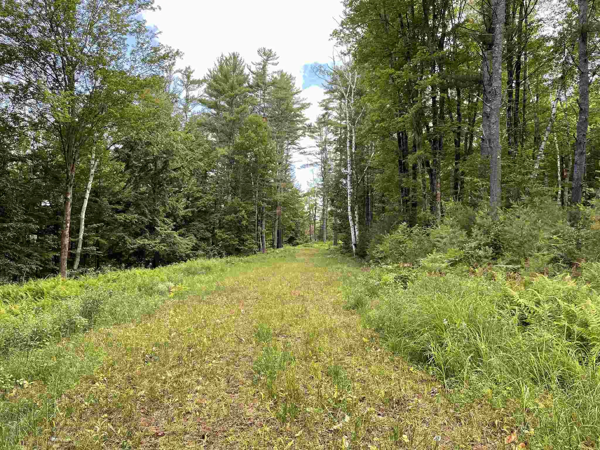 Barbara Lee Lane Norwich VT 05055