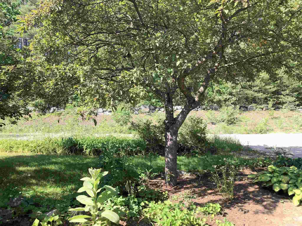 189 Lyford Road Brookfield NH 03872