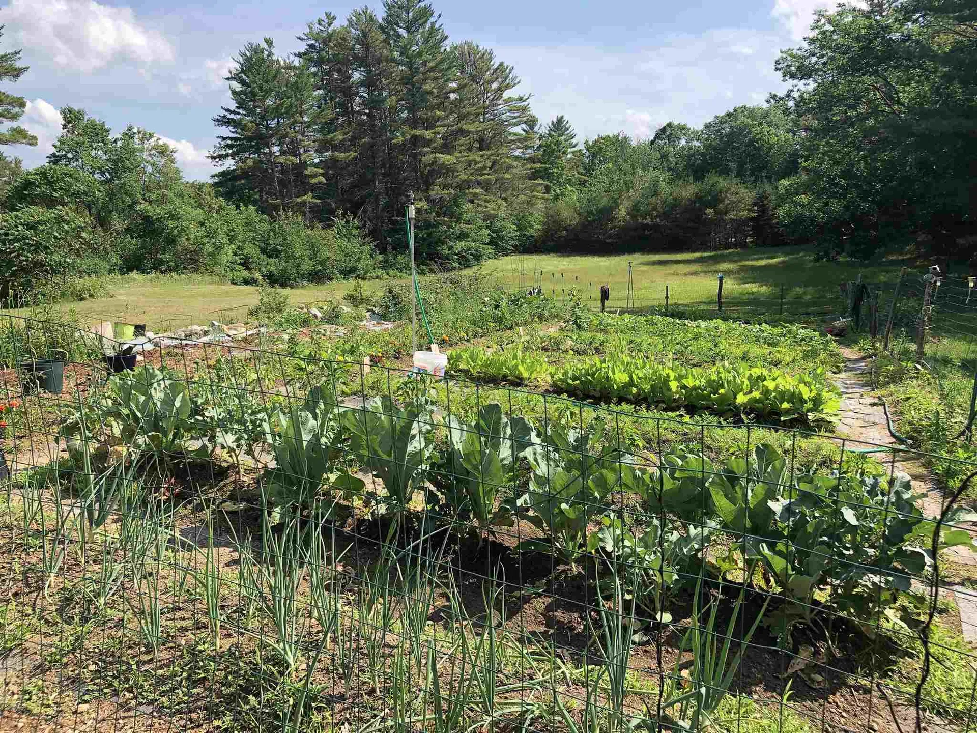 189 Lyford Road Brookfield NH 03872