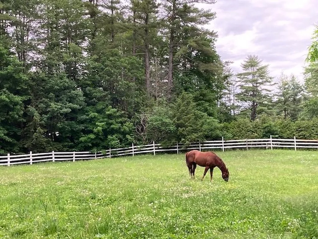 48 Pine Grove Road Alstead NH 03602
