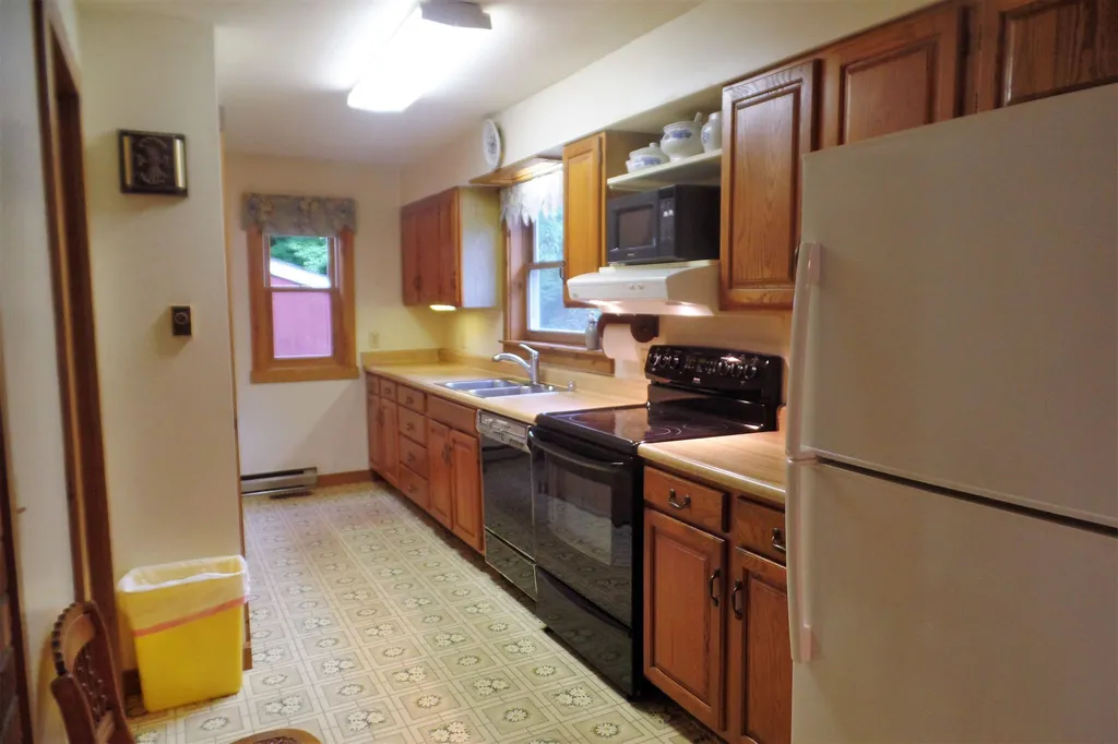 45 Platinum Plain Barre Town VT 05641