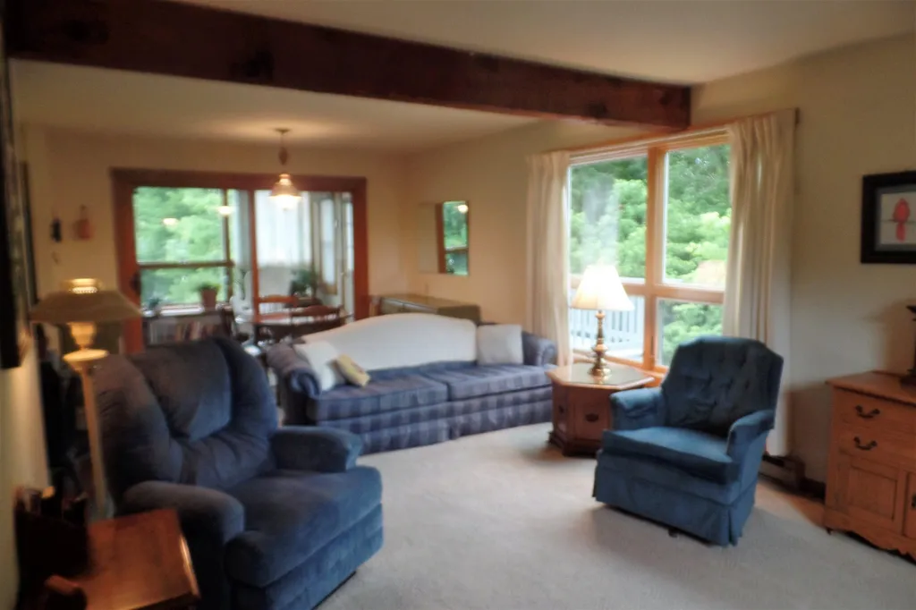 45 Platinum Plain Barre Town VT 05641