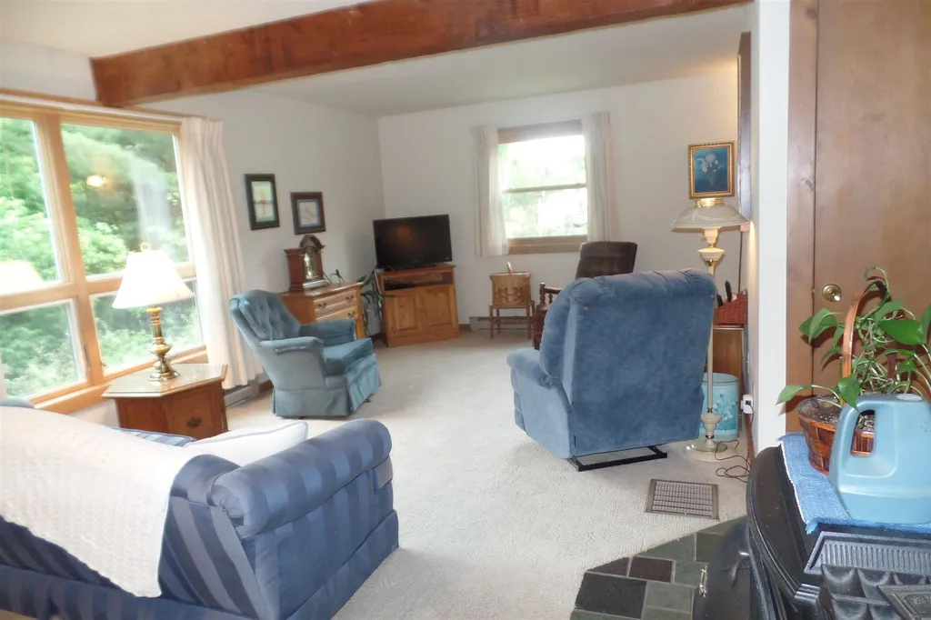 45 Platinum Plain Barre Town VT 05641