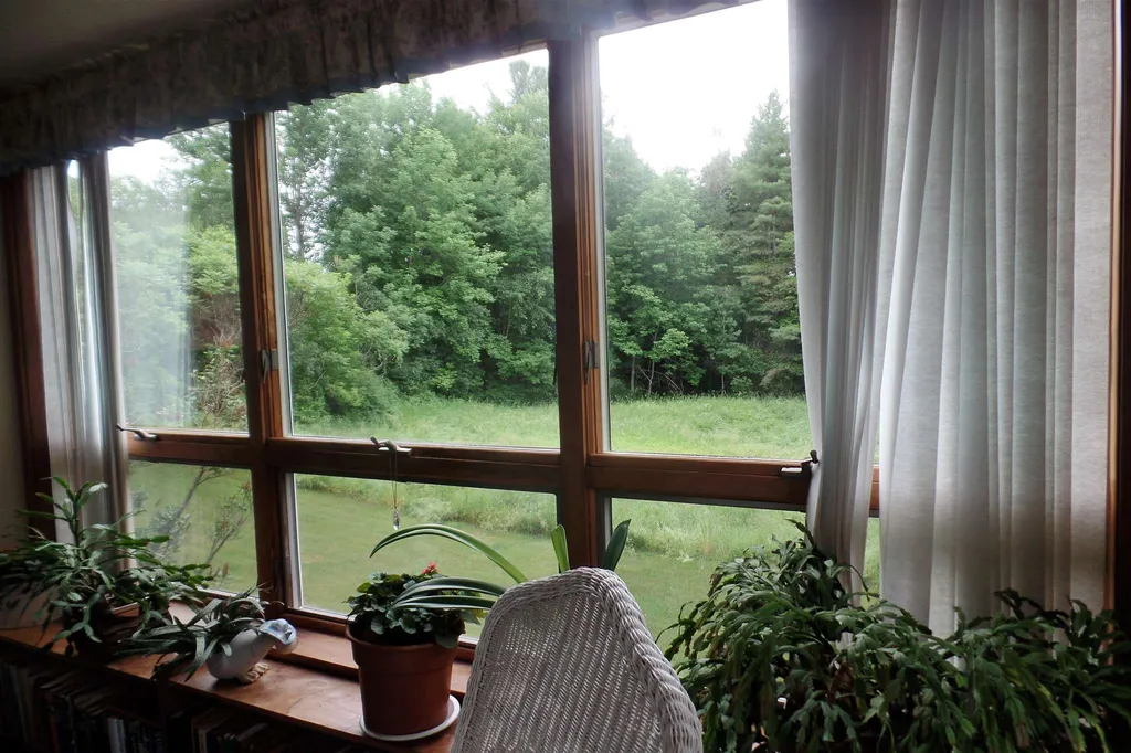45 Platinum Plain Barre Town VT 05641