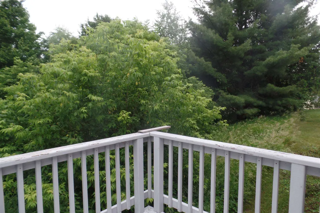 45 Platinum Plain Barre Town VT 05641