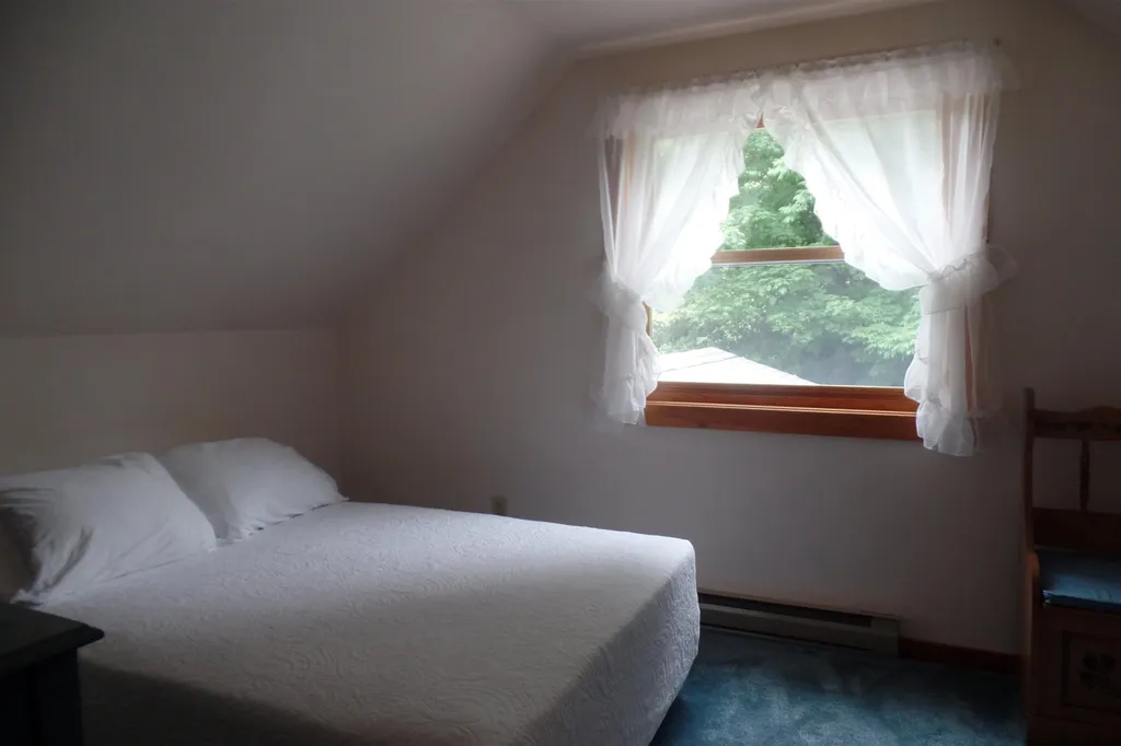 45 Platinum Plain Barre Town VT 05641