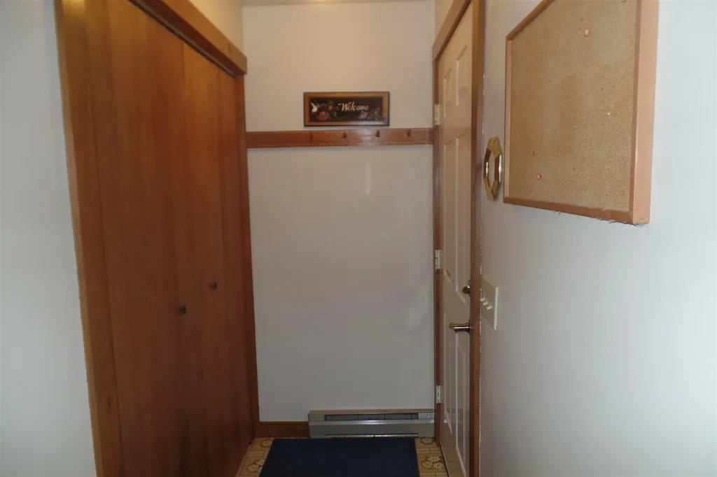 45 Platinum Plain Barre Town VT 05641