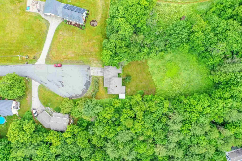 45 Platinum Plain Barre Town VT 05641