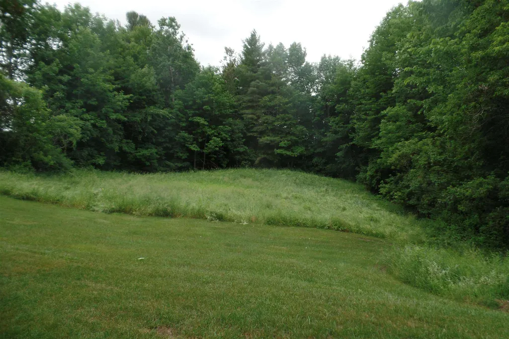 45 Platinum Plain Barre Town VT 05641