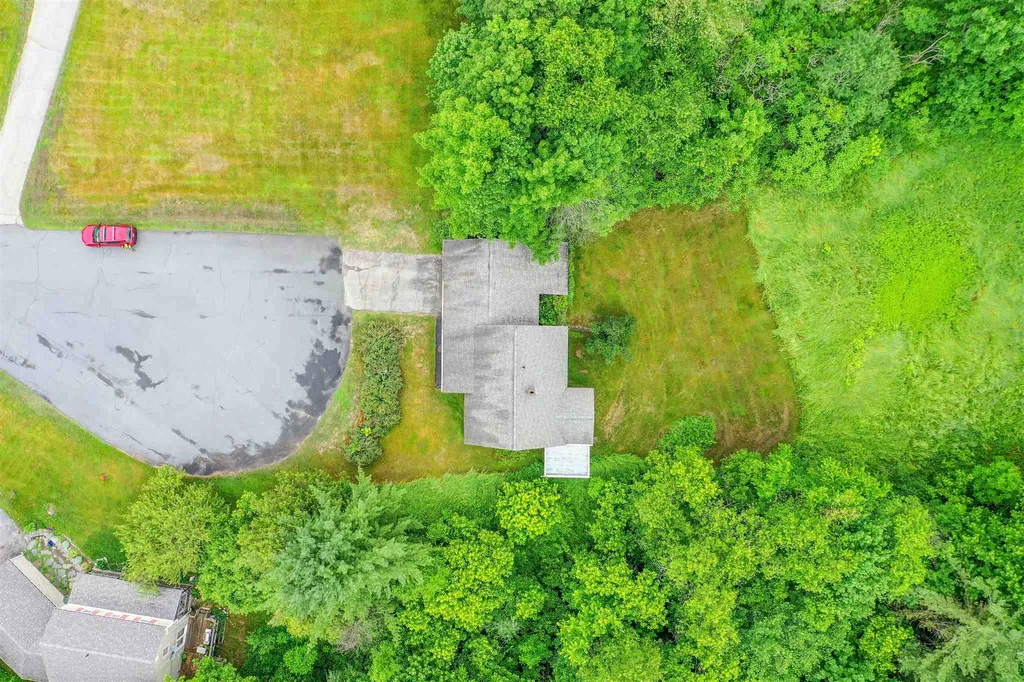 45 Platinum Plain Barre Town VT 05641