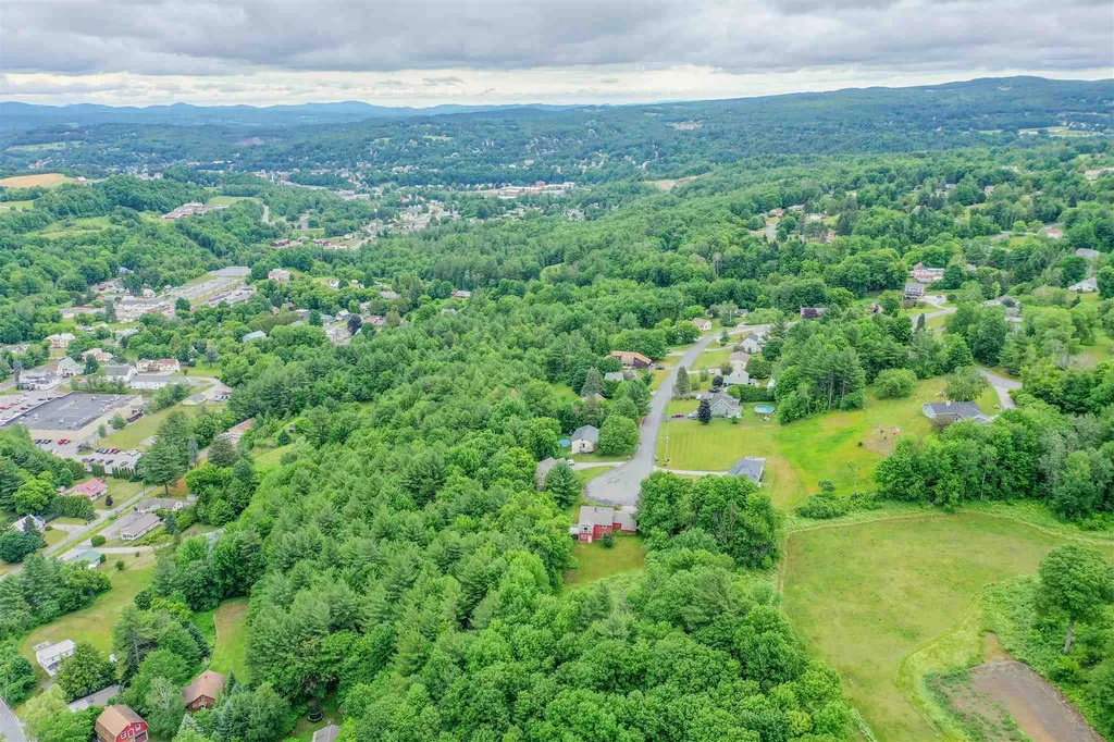 45 Platinum Plain Barre Town VT 05641