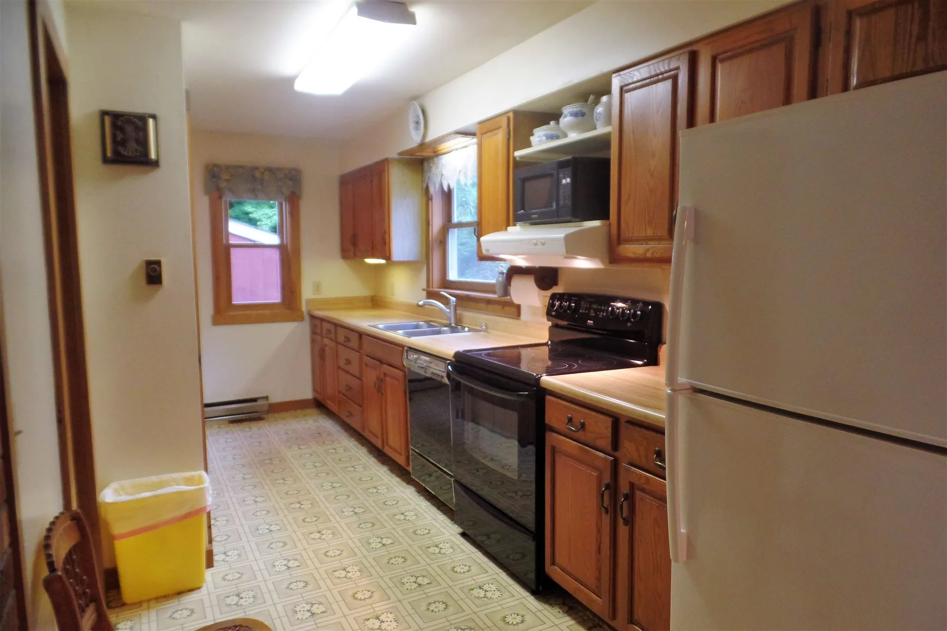 45 Platinum Plain Barre Town VT 05641