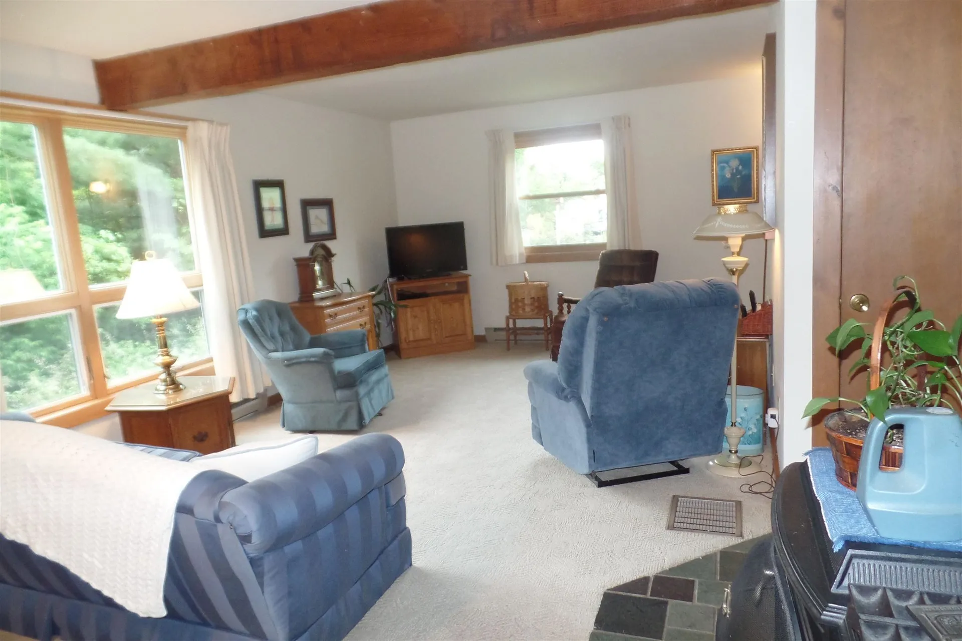 45 Platinum Plain Barre Town VT 05641