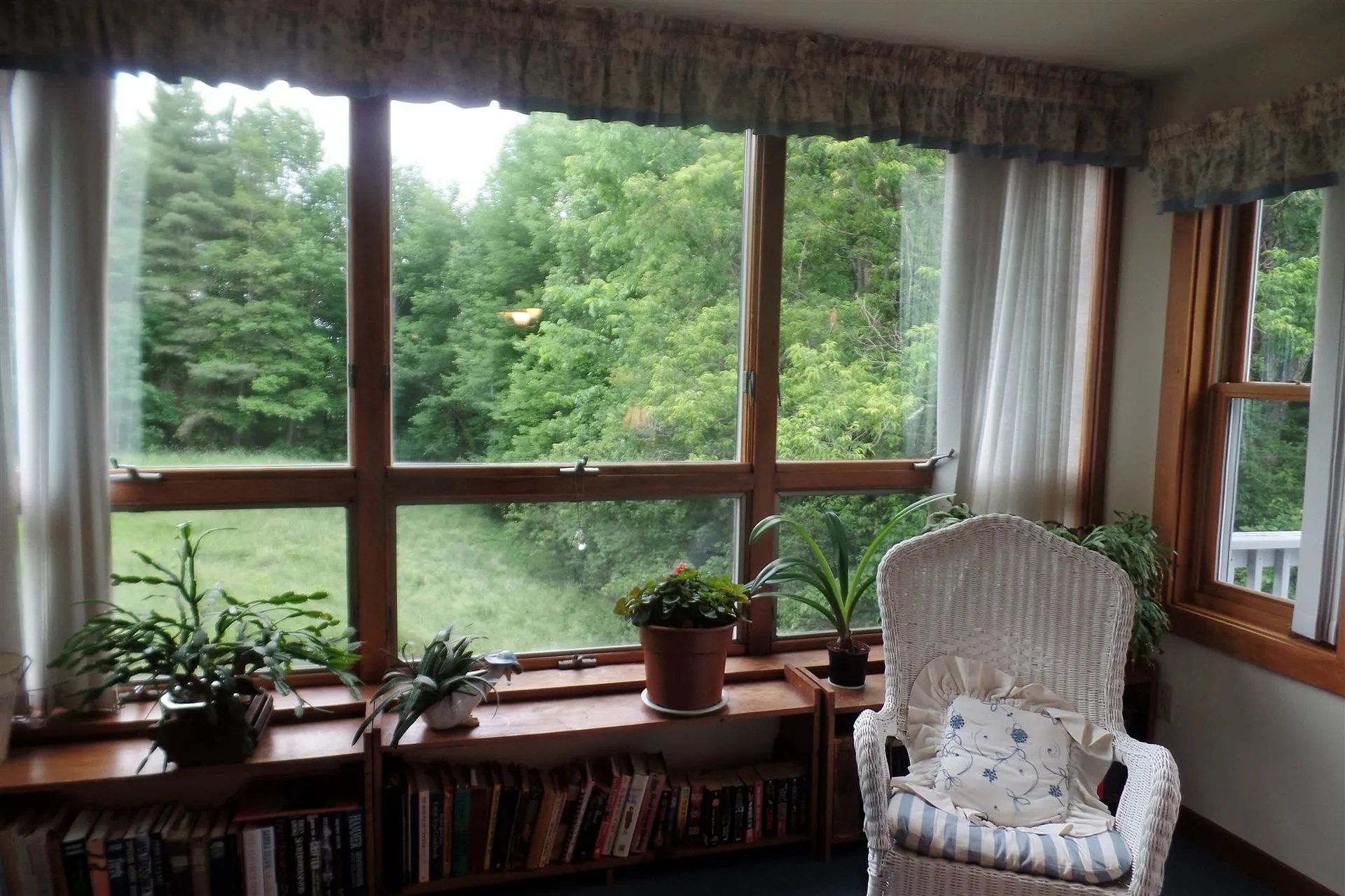 45 Platinum Plain Barre Town VT 05641