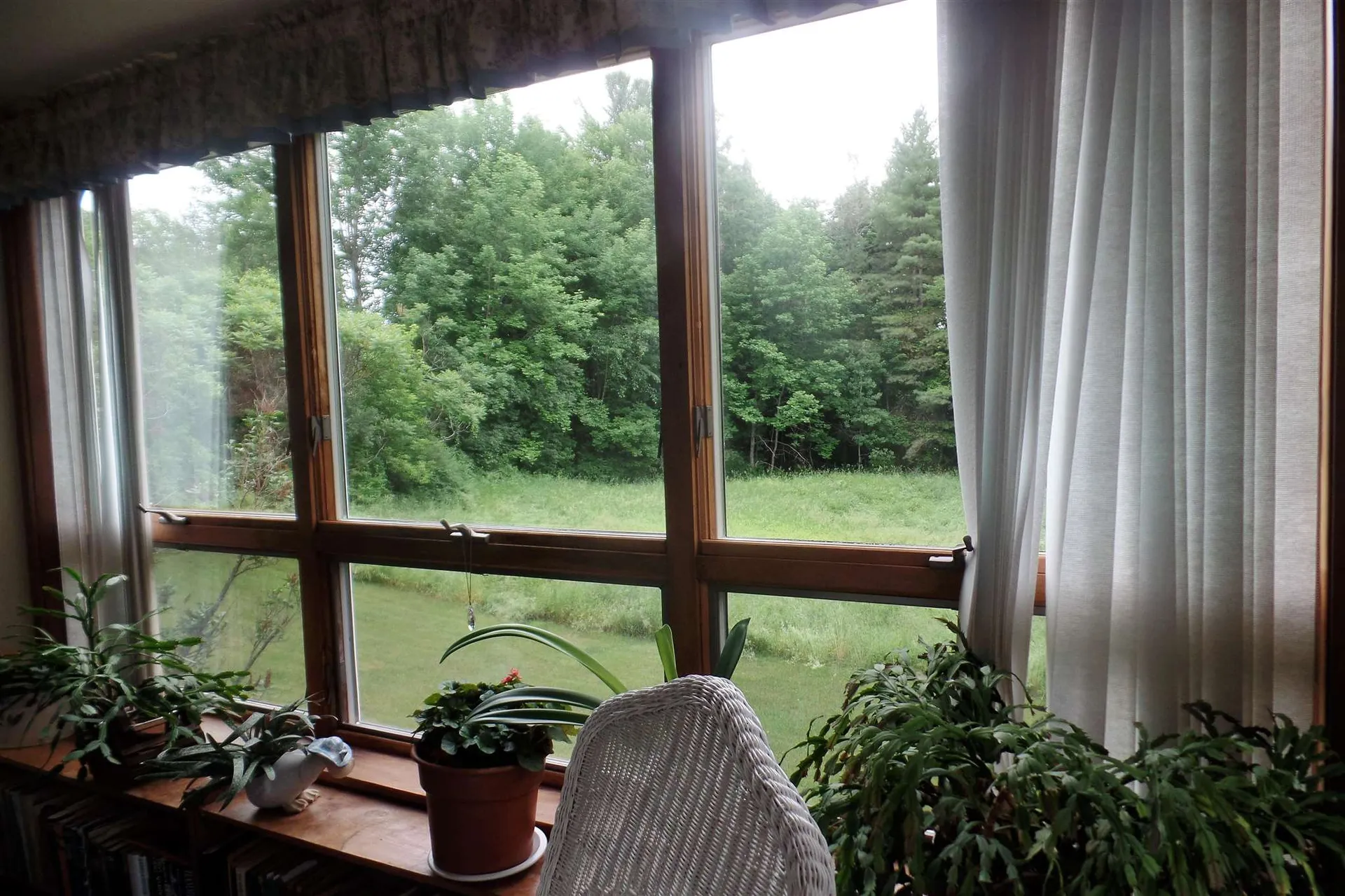 45 Platinum Plain Barre Town VT 05641
