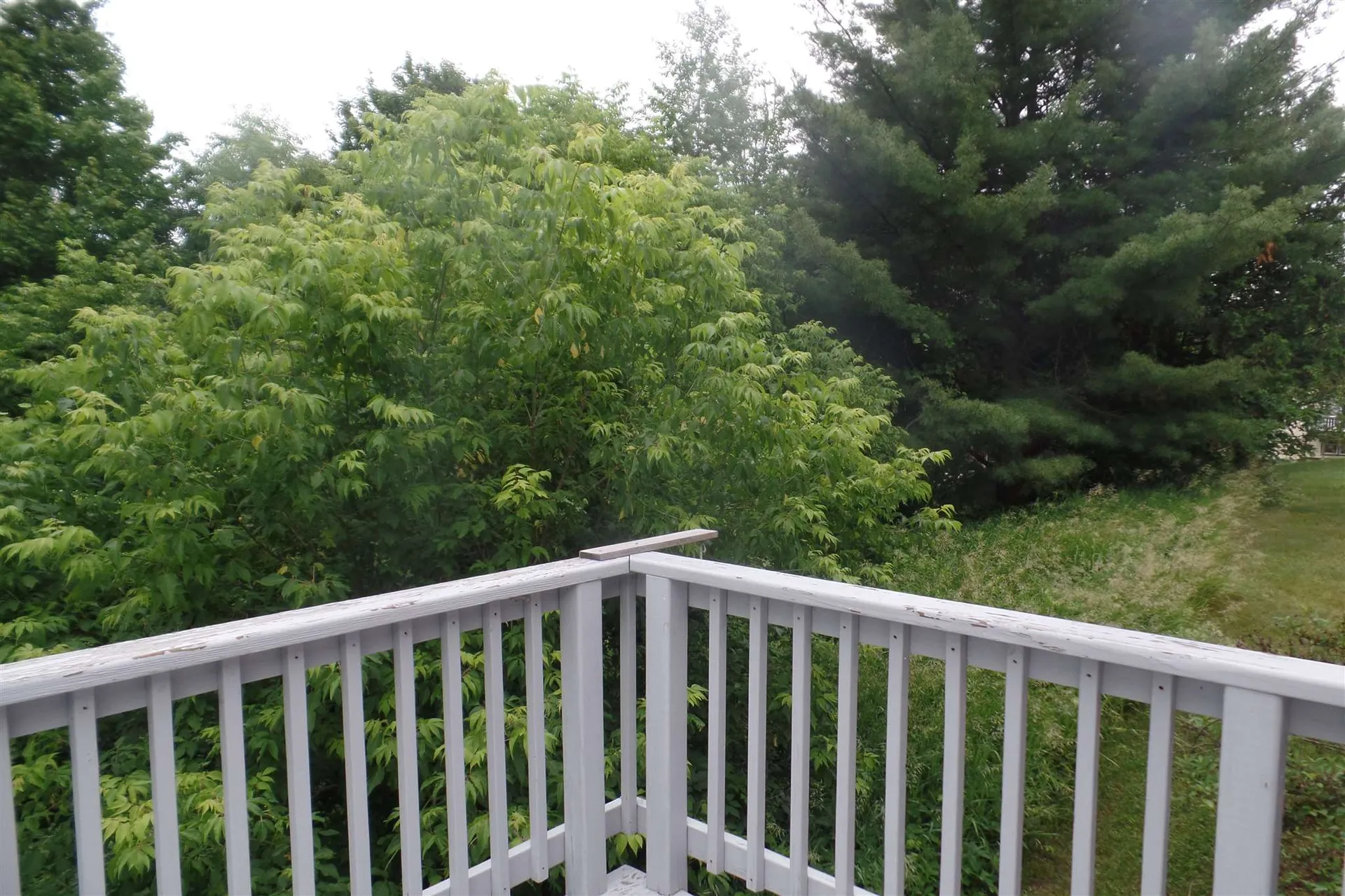 45 Platinum Plain Barre Town VT 05641