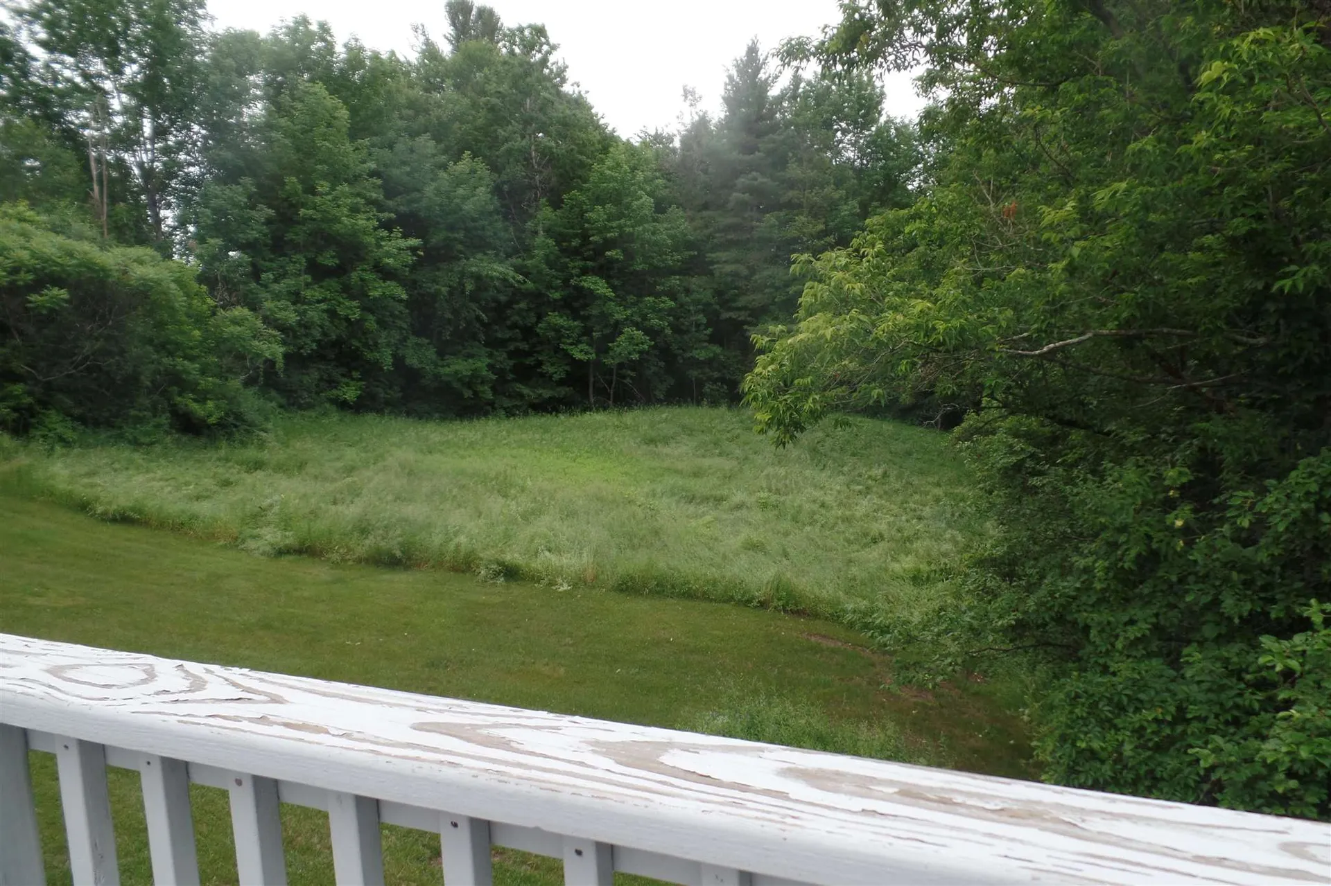 45 Platinum Plain Barre Town VT 05641