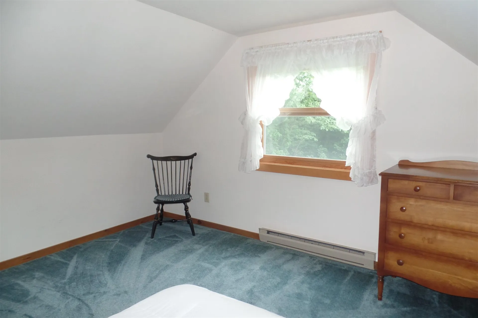 45 Platinum Plain Barre Town VT 05641