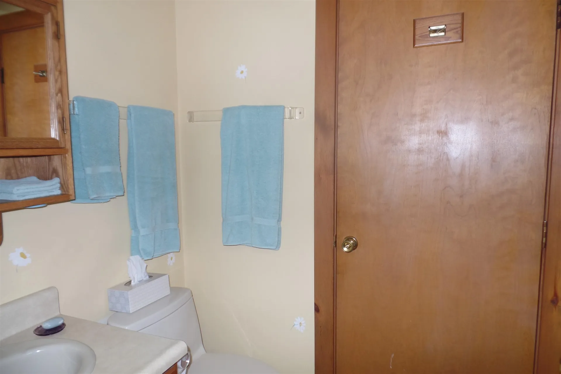 45 Platinum Plain Barre Town VT 05641