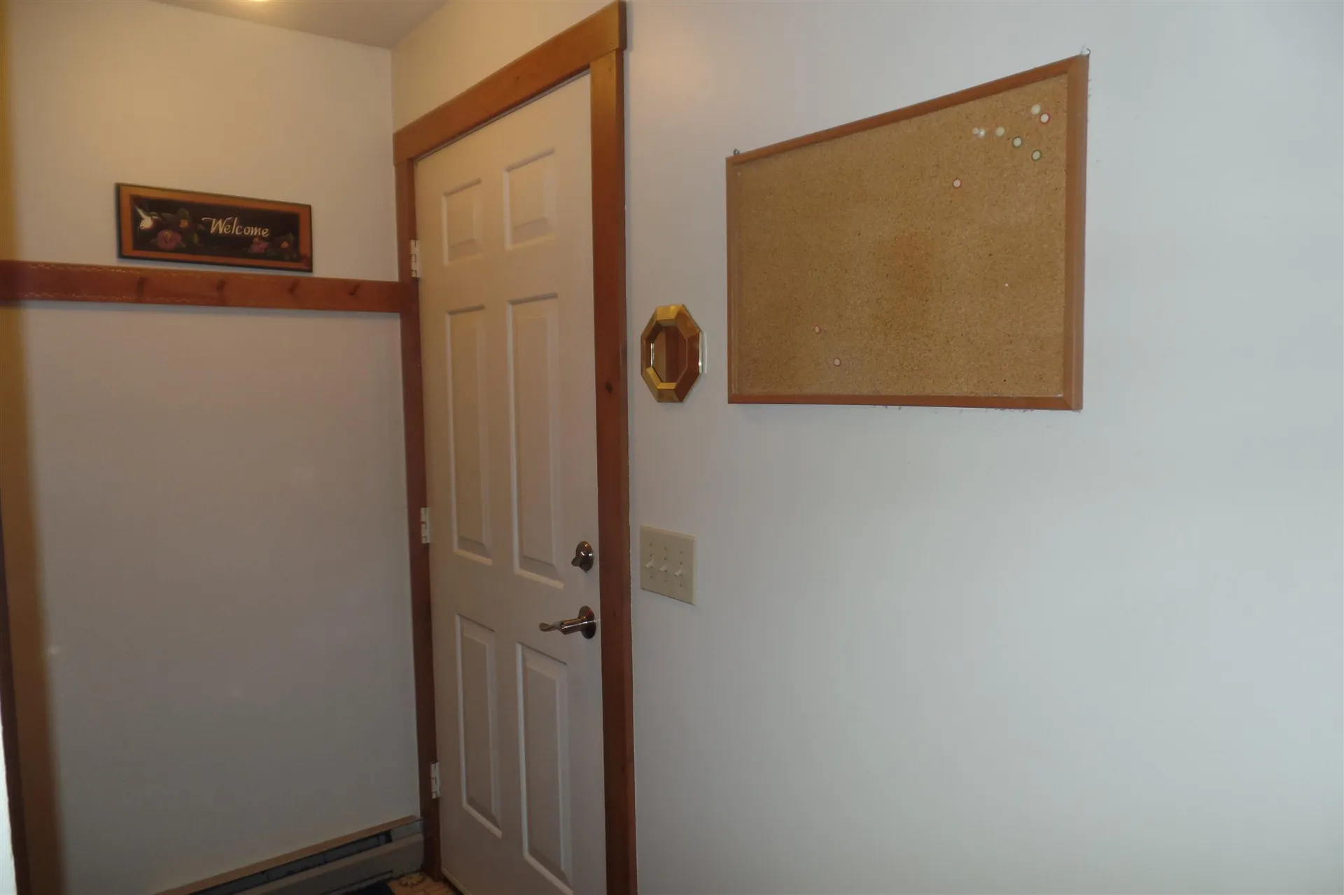 45 Platinum Plain Barre Town VT 05641