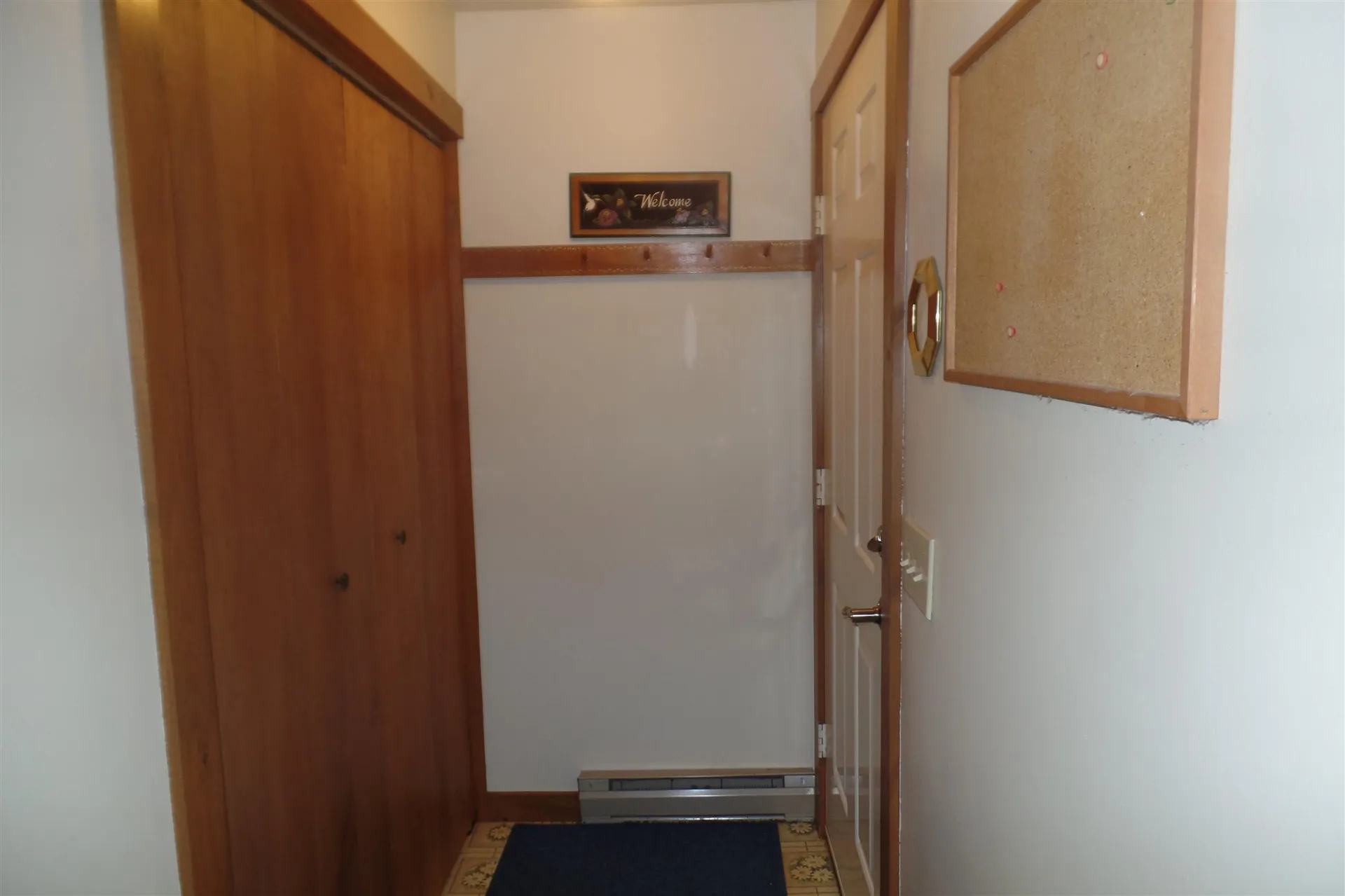 45 Platinum Plain Barre Town VT 05641