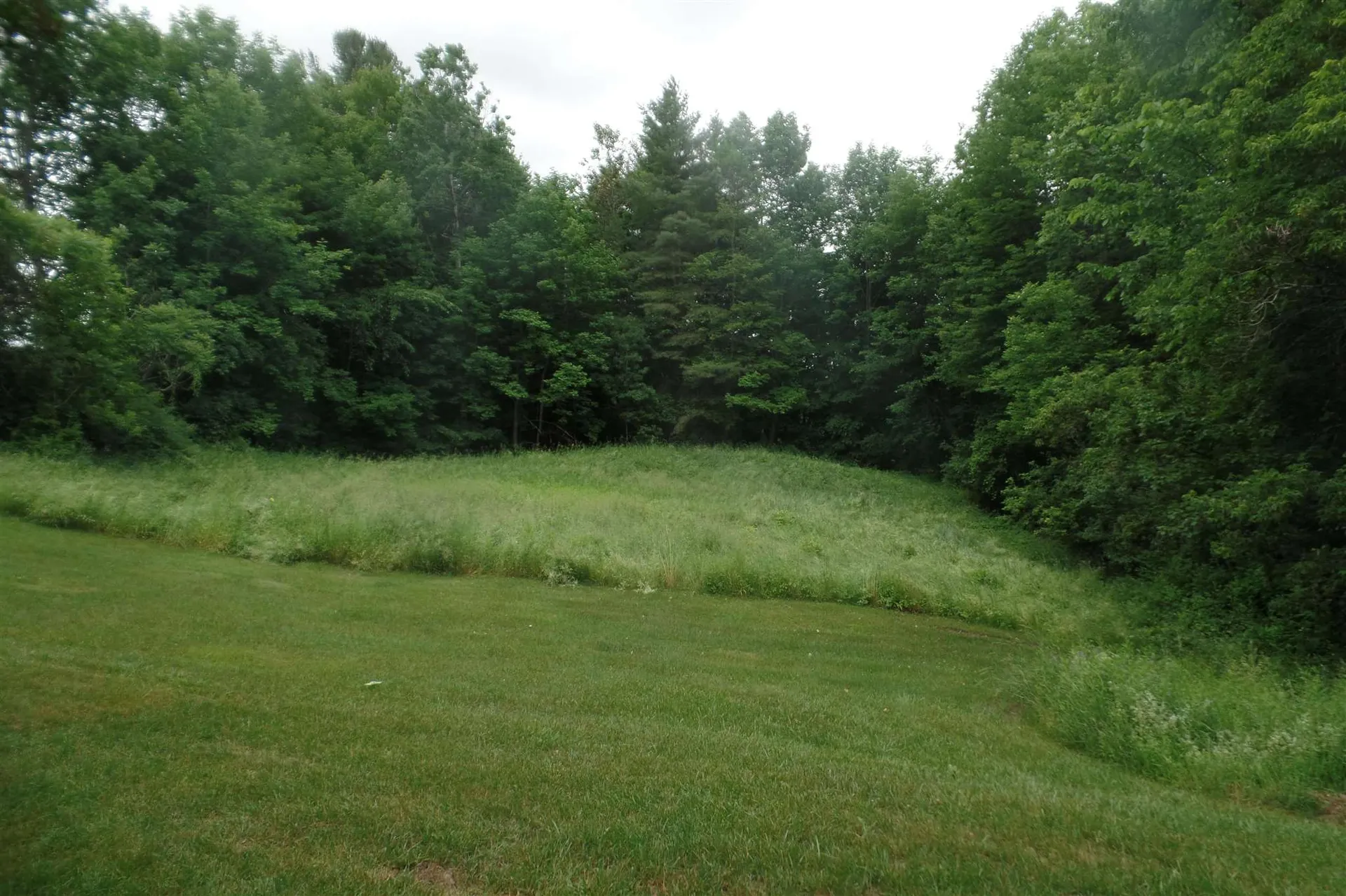 45 Platinum Plain Barre Town VT 05641