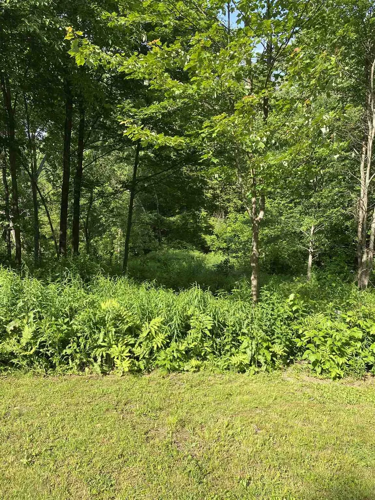 581 Sewall Brook Road Royalton VT 05068-5409