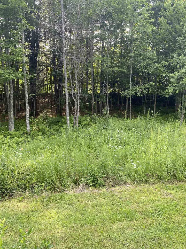 581 Sewall Brook Road Royalton VT 05068-5409