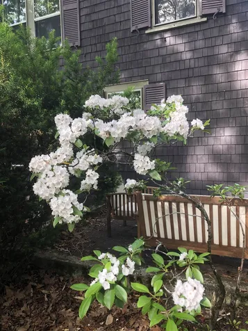6 Kent Street Concord NH 03301
