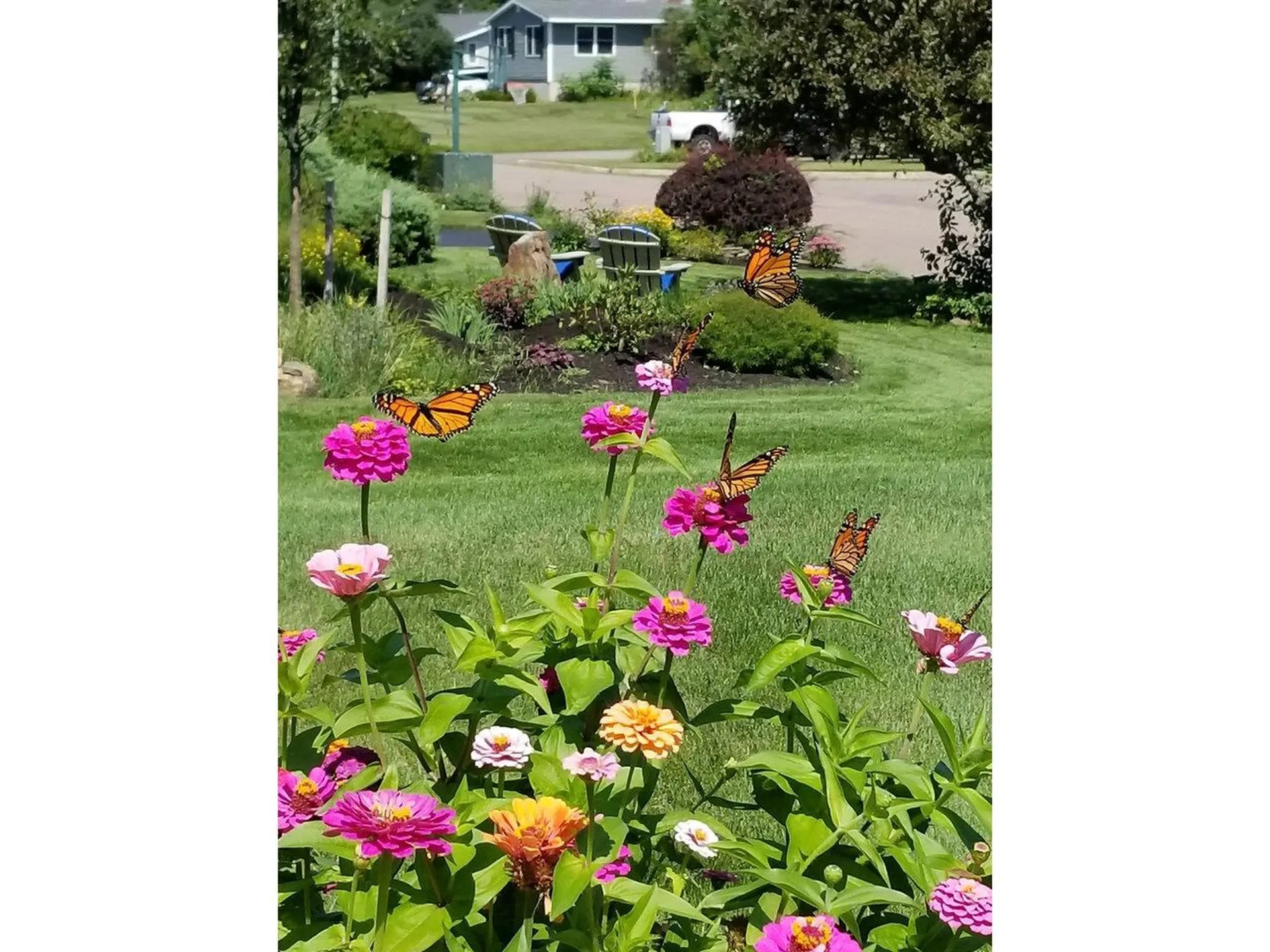 288 Buckingham Drive Colchester VT 05446