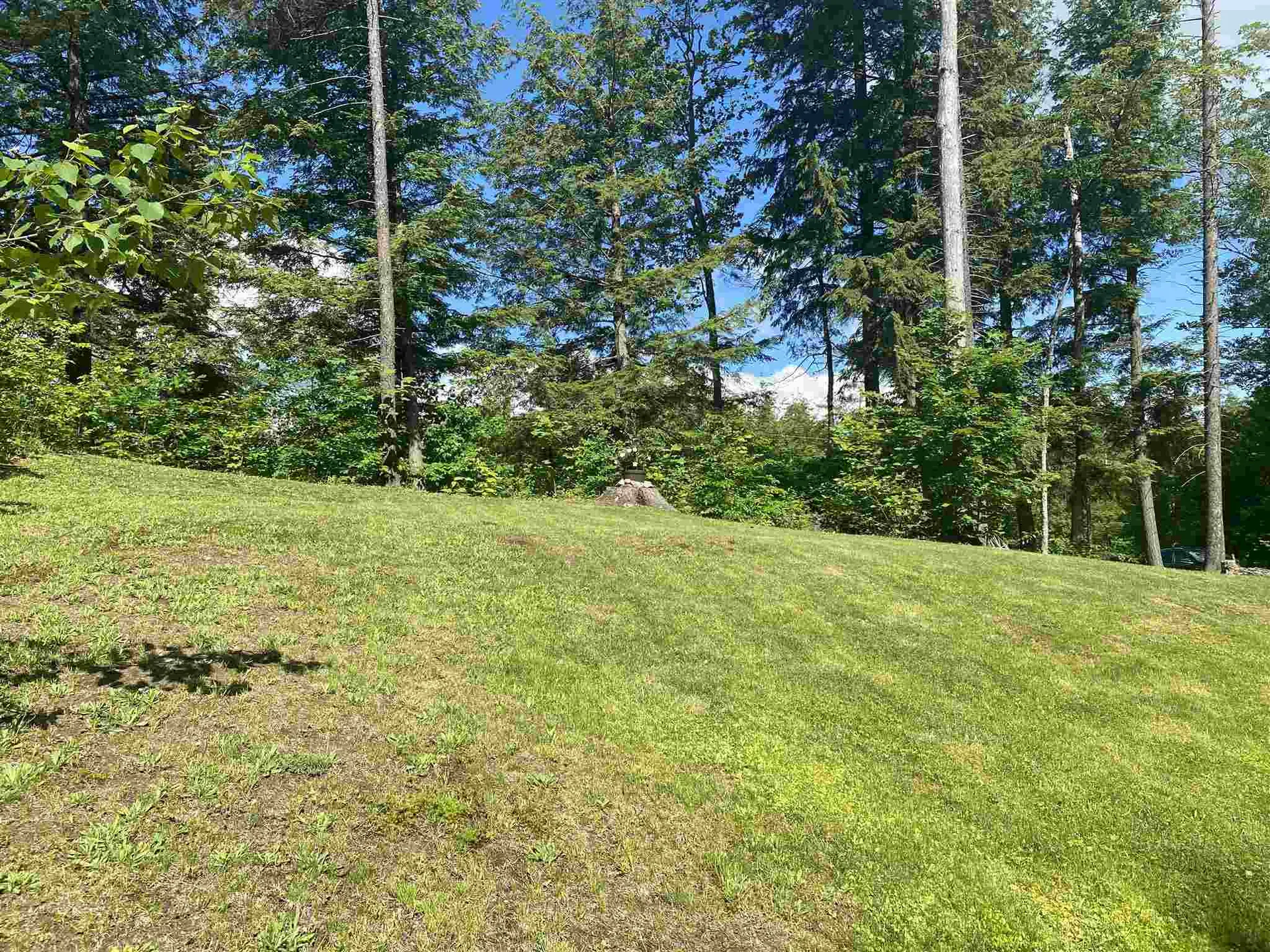 101 Rawson Ridge Grantham NH 03753