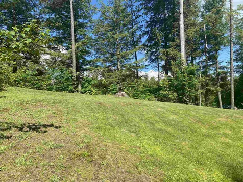 101 Rawson Ridge Grantham NH 03753