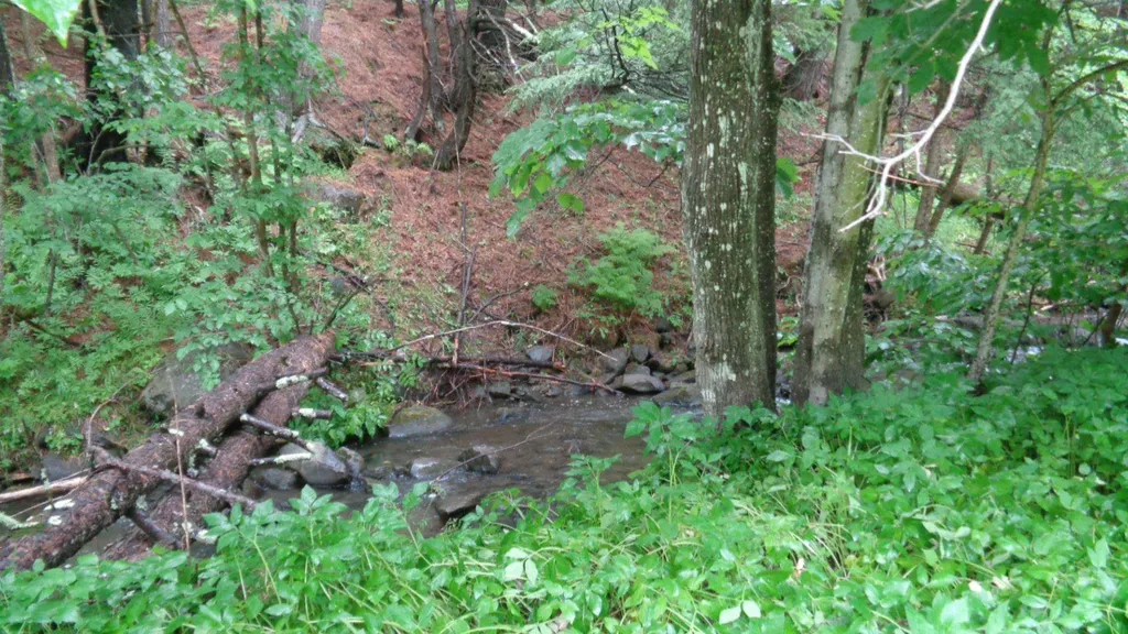 1363 Vt Route 132 Sharon VT 05065