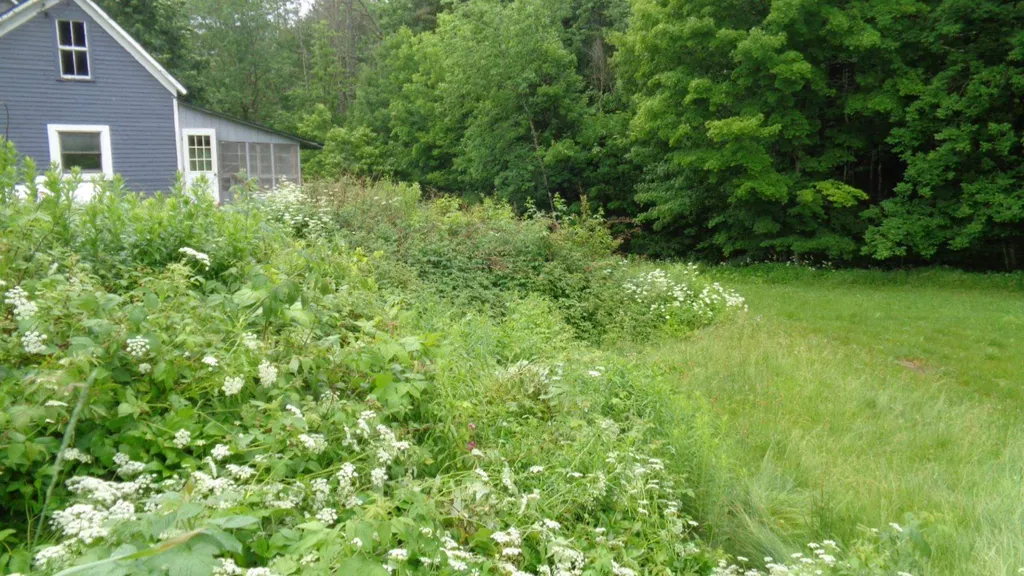 1363 Vt Route 132 Sharon VT 05065