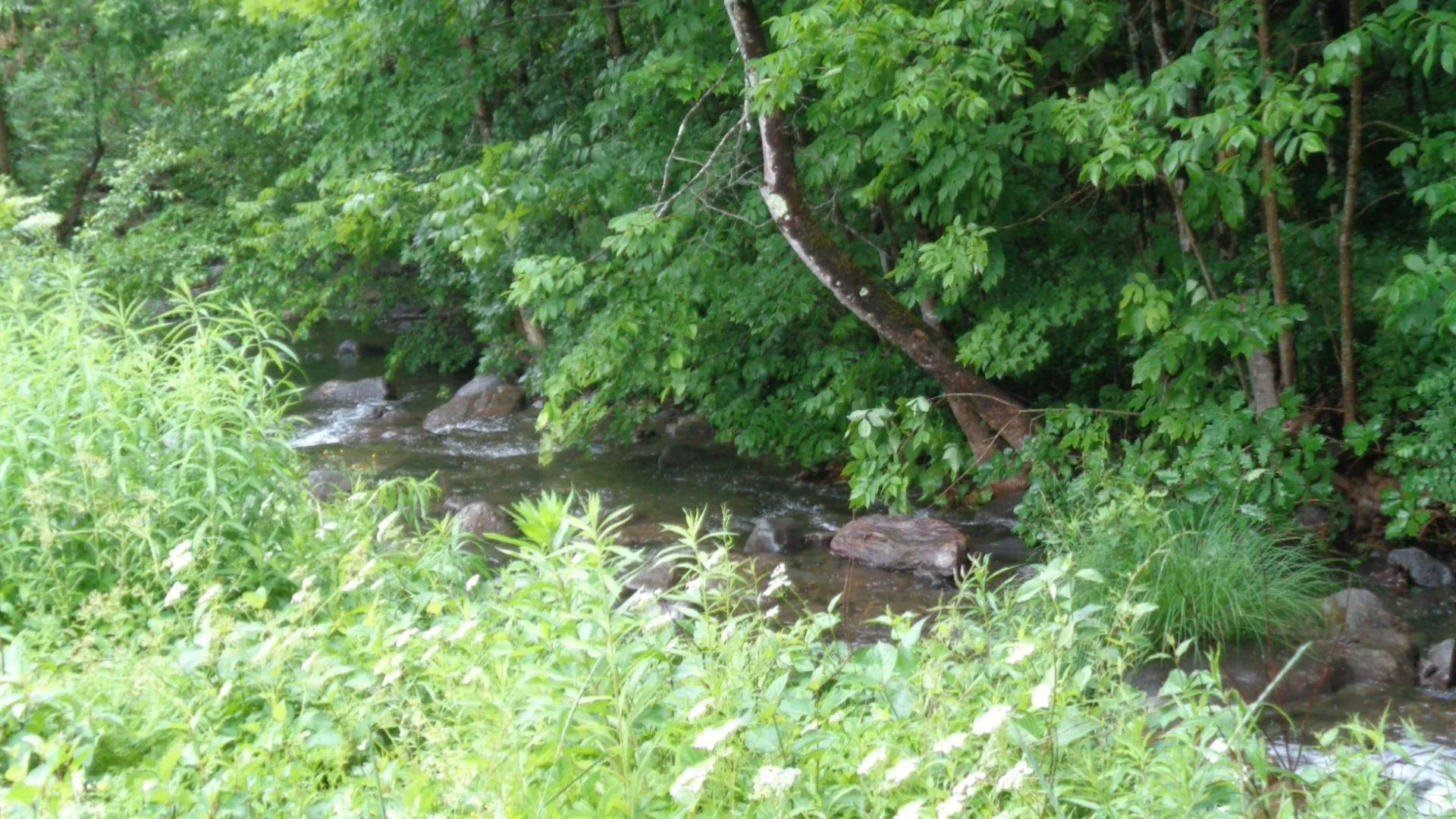 1363 Vt Route 132 Sharon VT 05065