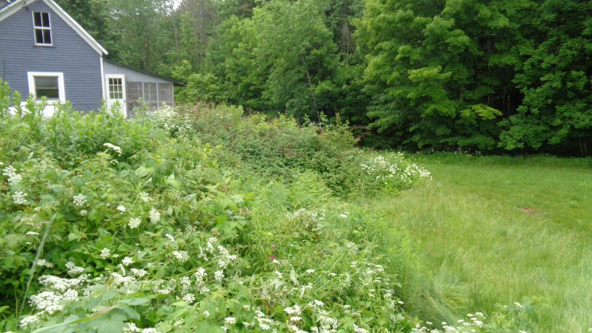 1363 Vt Route 132 Sharon VT 05065