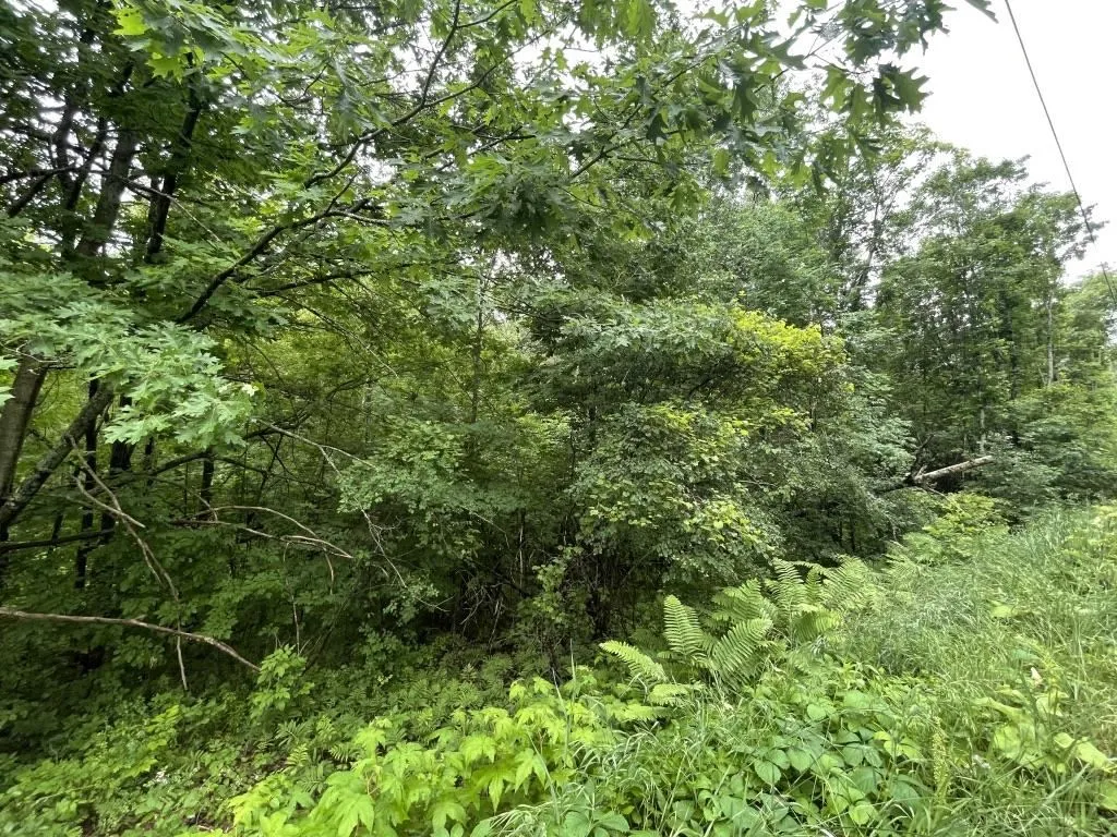7 Old Dana Road Hanover NH 03750
