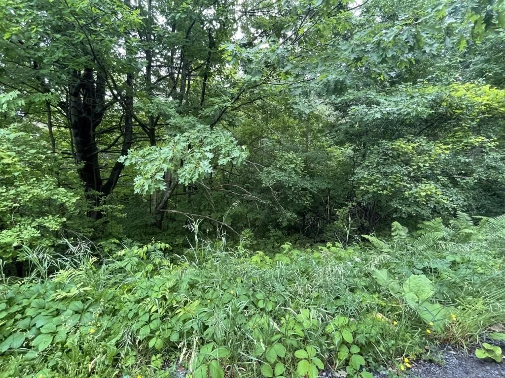7 Old Dana Road Hanover NH 03750