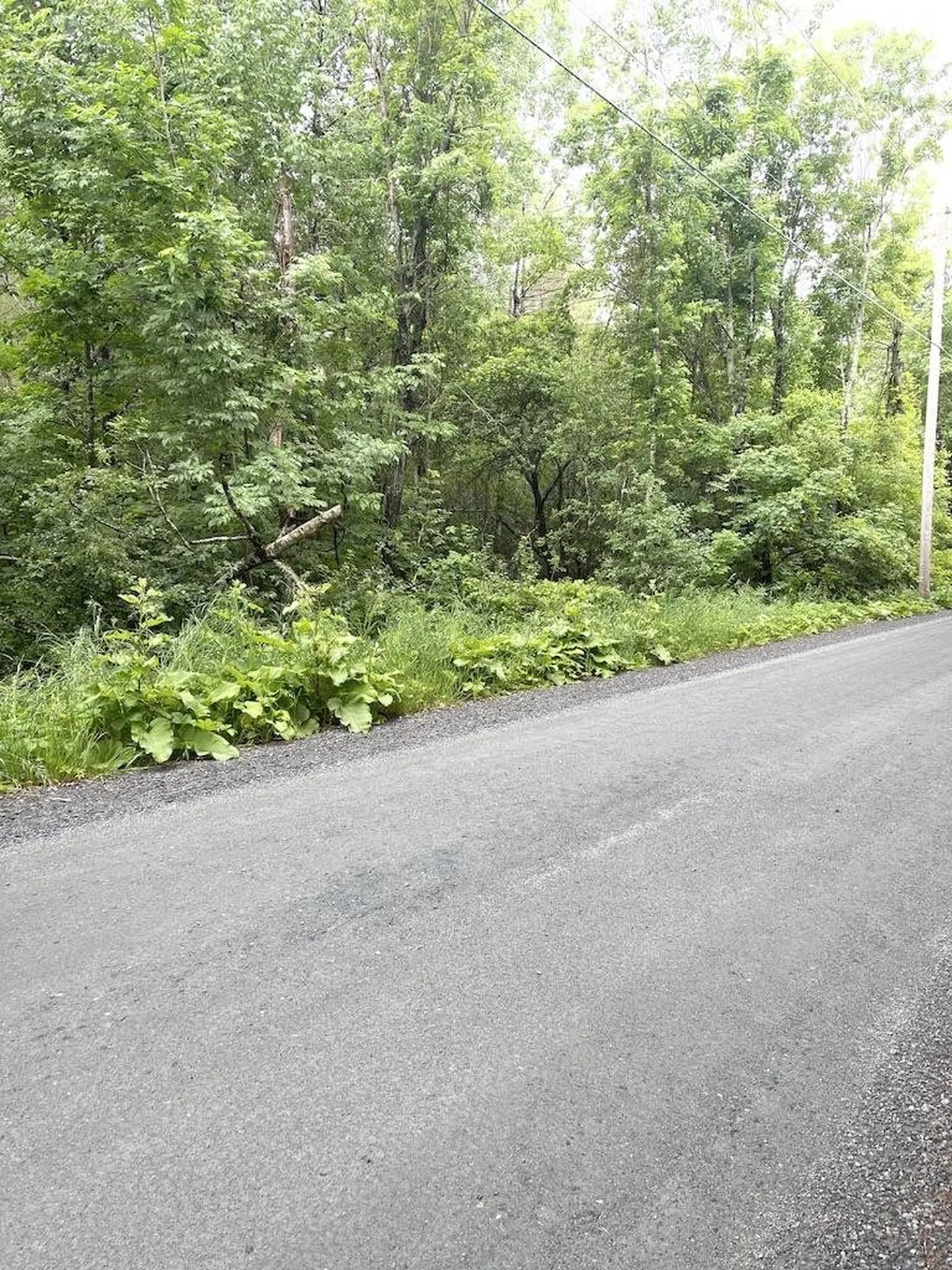7 Old Dana Road Hanover NH 03750