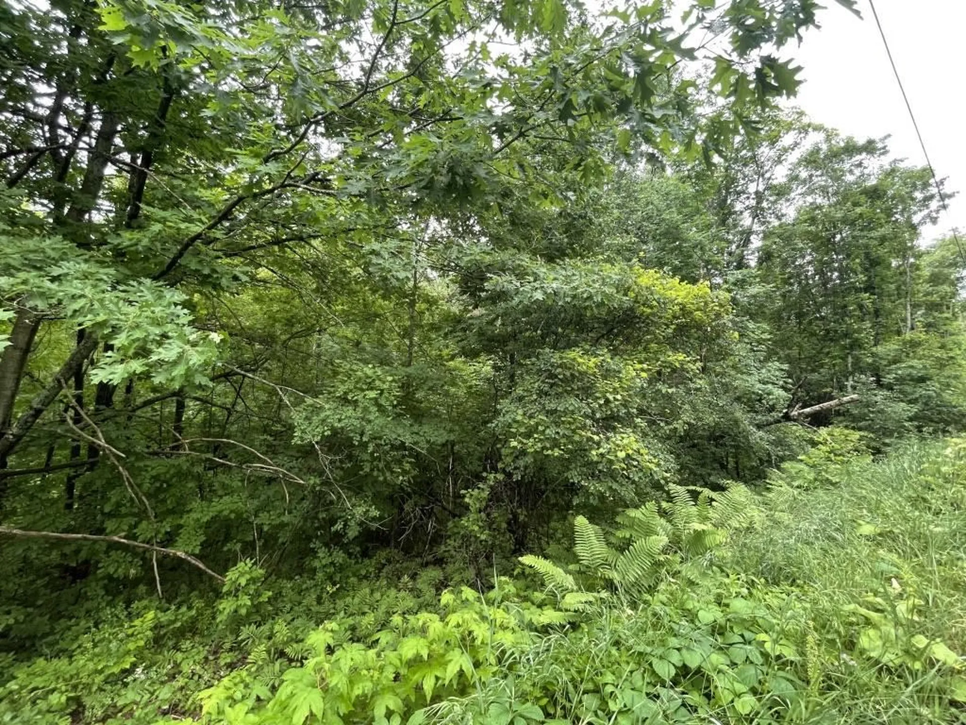 7 Old Dana Road Hanover NH 03750