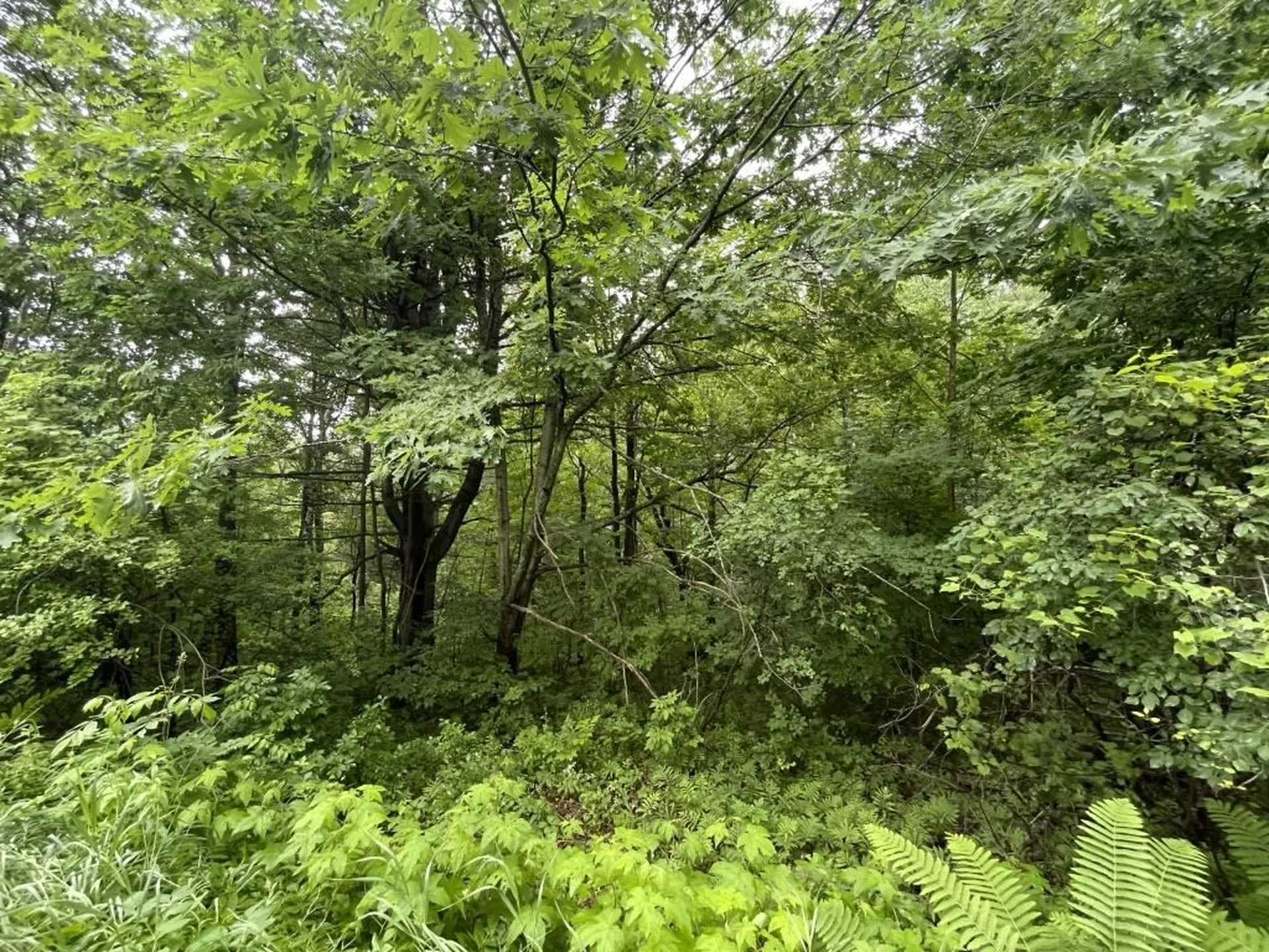 7 Old Dana Road Hanover NH 03750