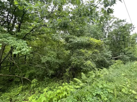 7 Old Dana Road Hanover NH 03750