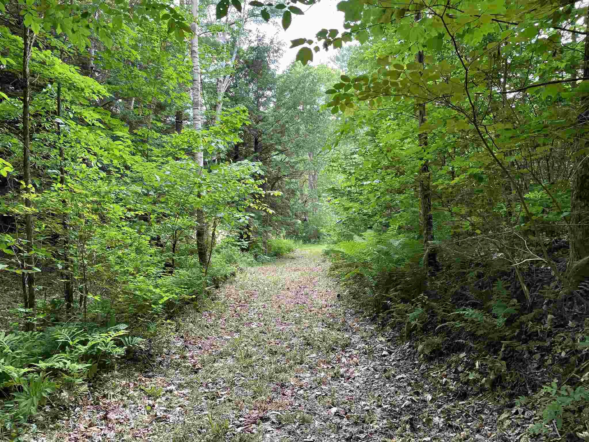 396 Atkins Road Lincoln VT 05443
