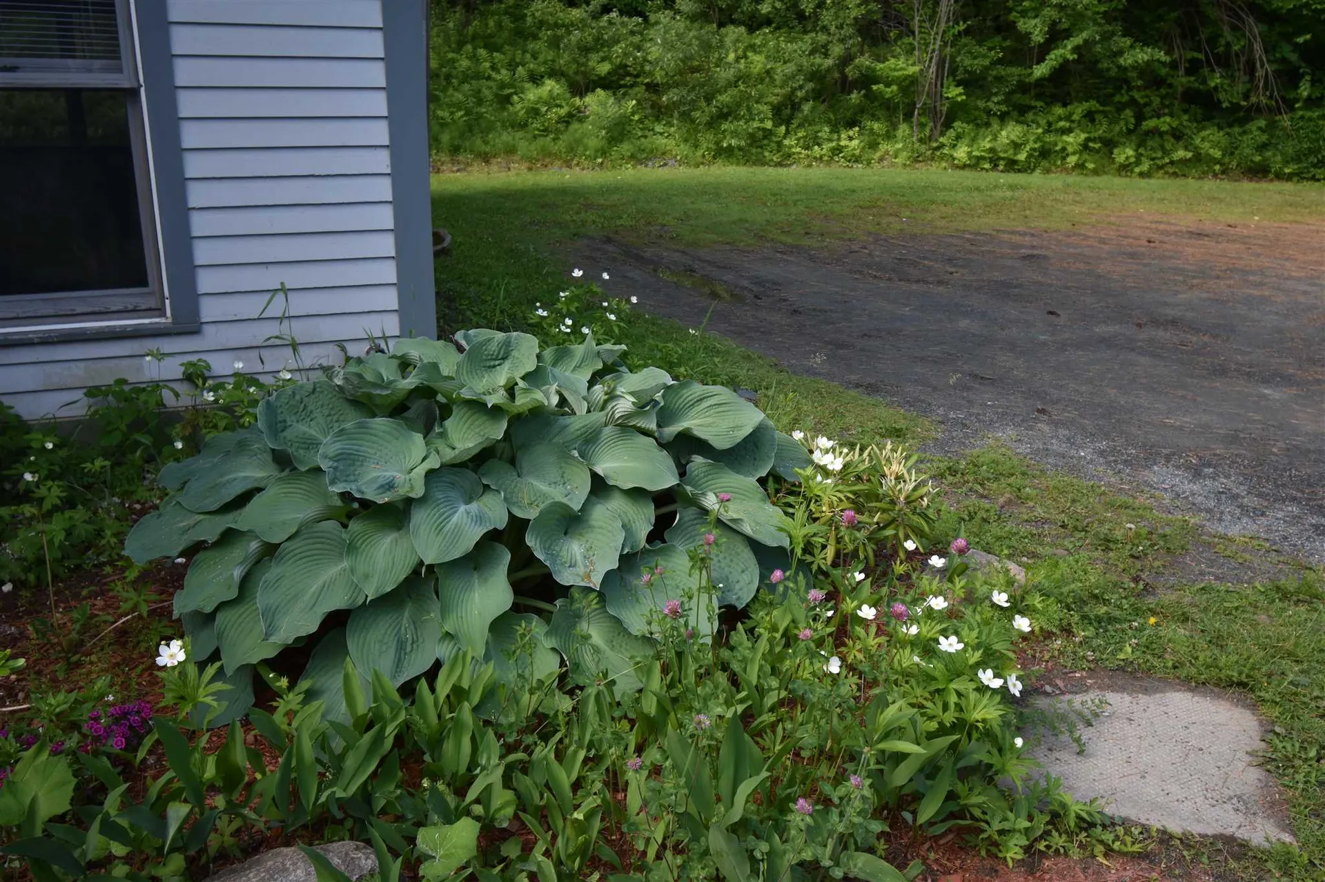 10 Merrill Place Enfield NH 03748