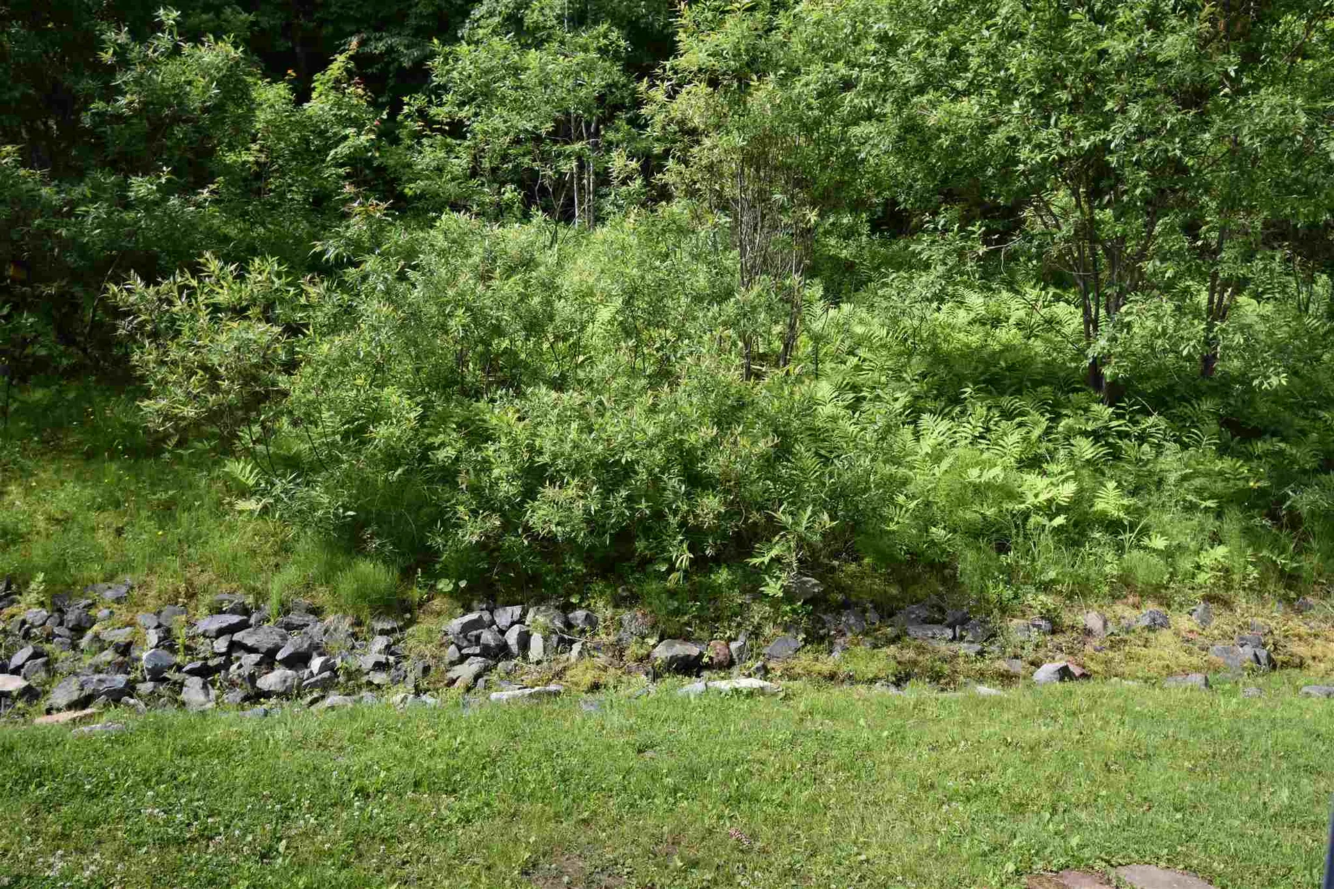 10 Merrill Place Enfield NH 03748