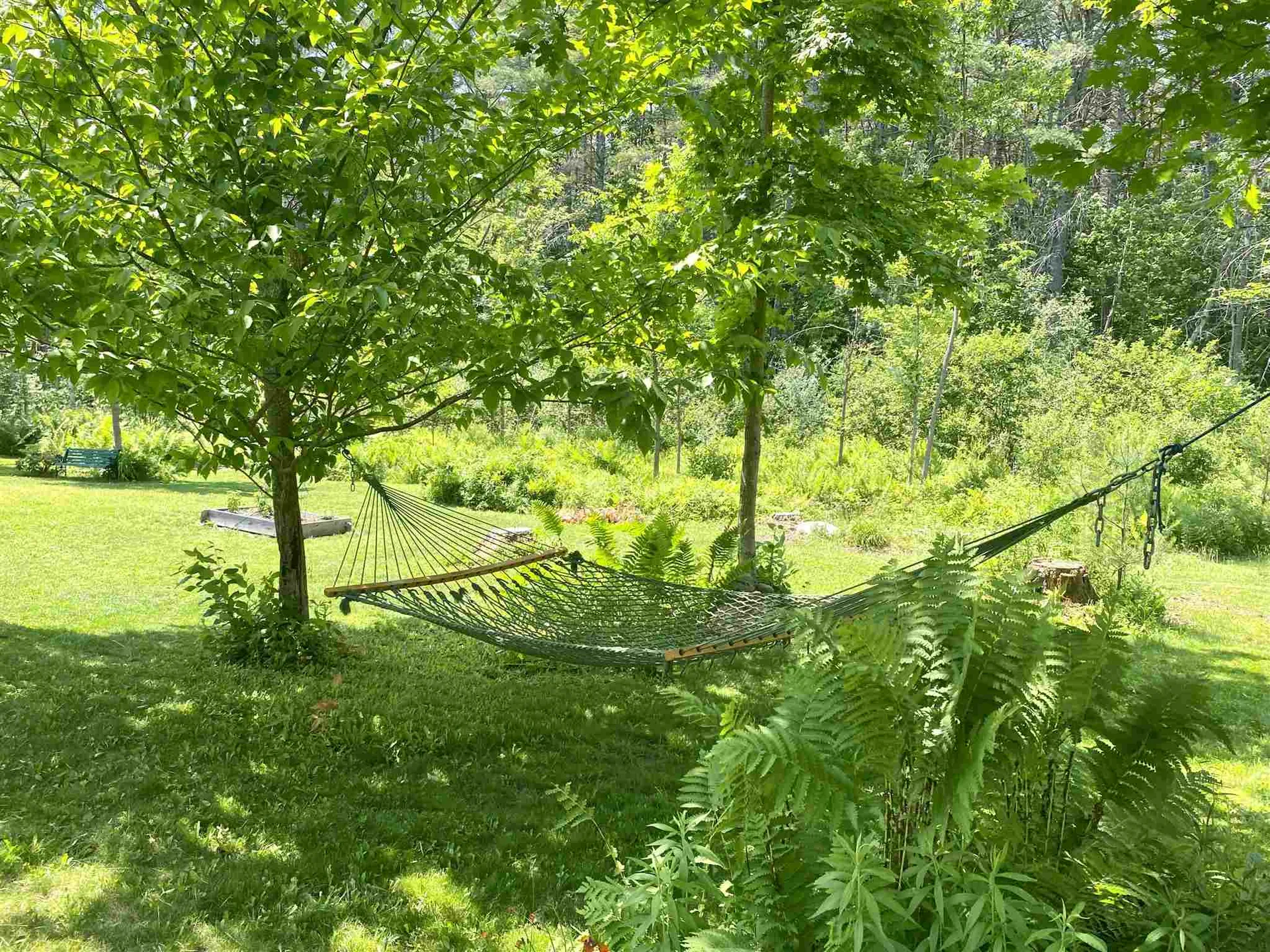 54 Bonner Road Plainfield NH 03770
