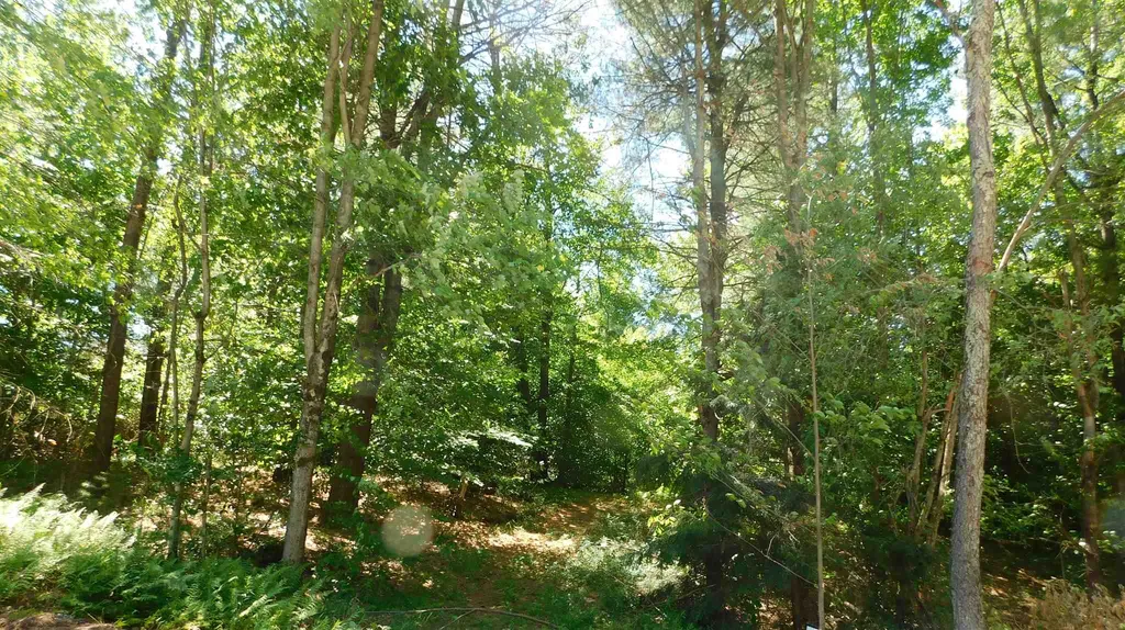 43 Heather Road Fairfax VT 05454